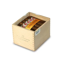 好友 蒙特雷 小罗布图 25支